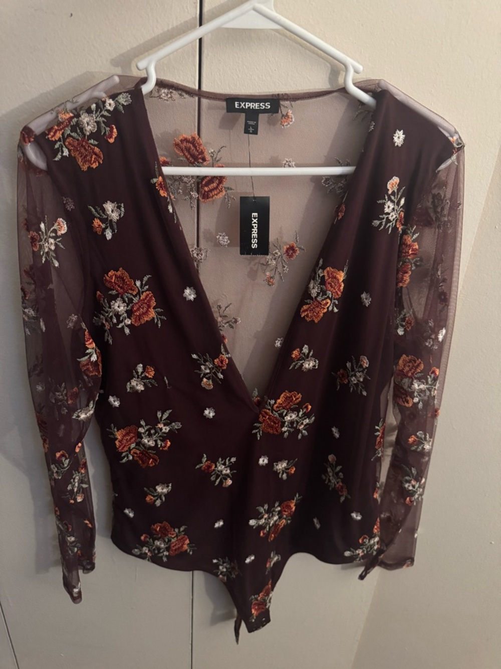 Express Burgundy Floral Mesh Surplice Bodysuit with Embroidered Roses
